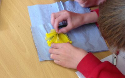 Class 5 Dissecting Flowers