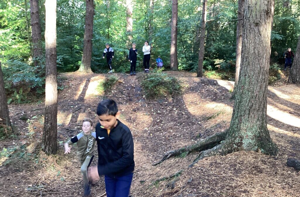 Kingswood Residential:  Woodland walk and obstacle course
