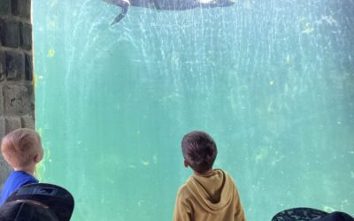 Tynemouth Beach and Aquarium Visit